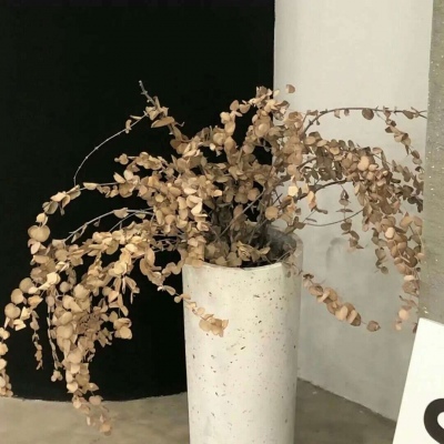 兽设清新风格设计FurryQQ群